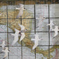 MIGRATING TERNS CENTRAL AMERICA