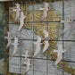 MIGRATING TERNS CENTRAL AMERICA