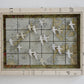 MIGRATING TERNS SULU SEA