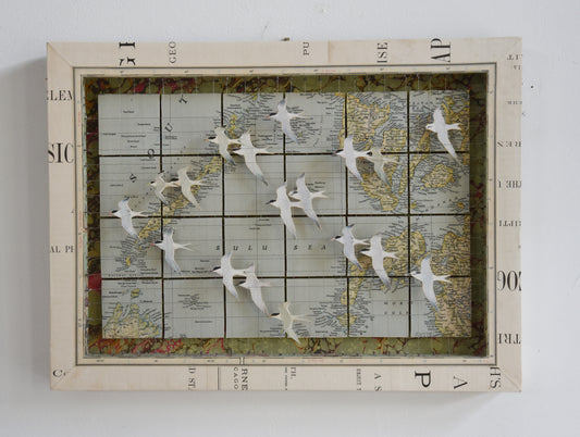 MIGRATING TERNS SULU SEA