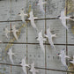 MIGRATING TERNS SULU SEA