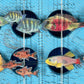 MINI FISHES - DONATION