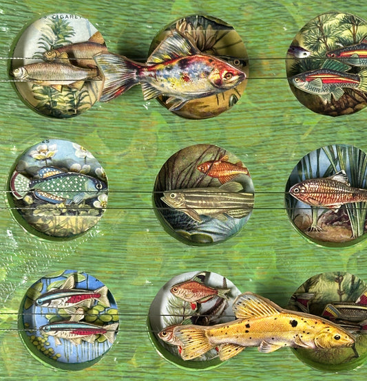 SMALL POND - SOLD