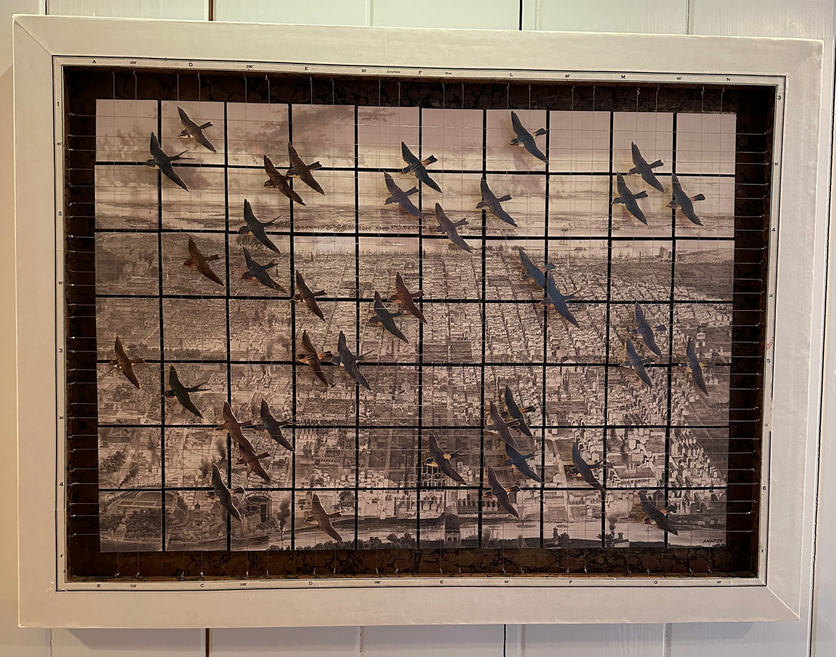 SWALLOWS OVER PHILADELPHIA