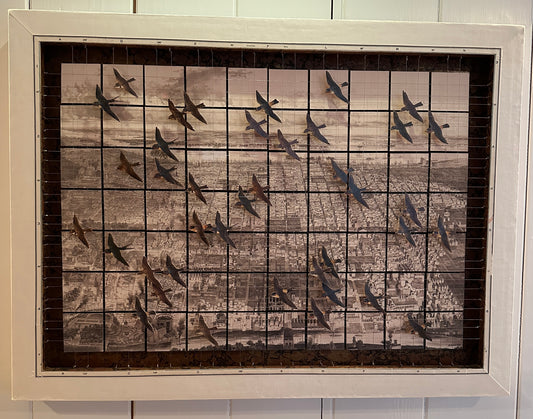 SWALLOWS OVER PHILADELPHIA