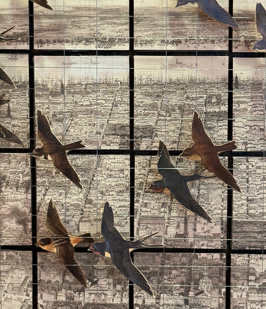 SWALLOWS OVER PHILADELPHIA