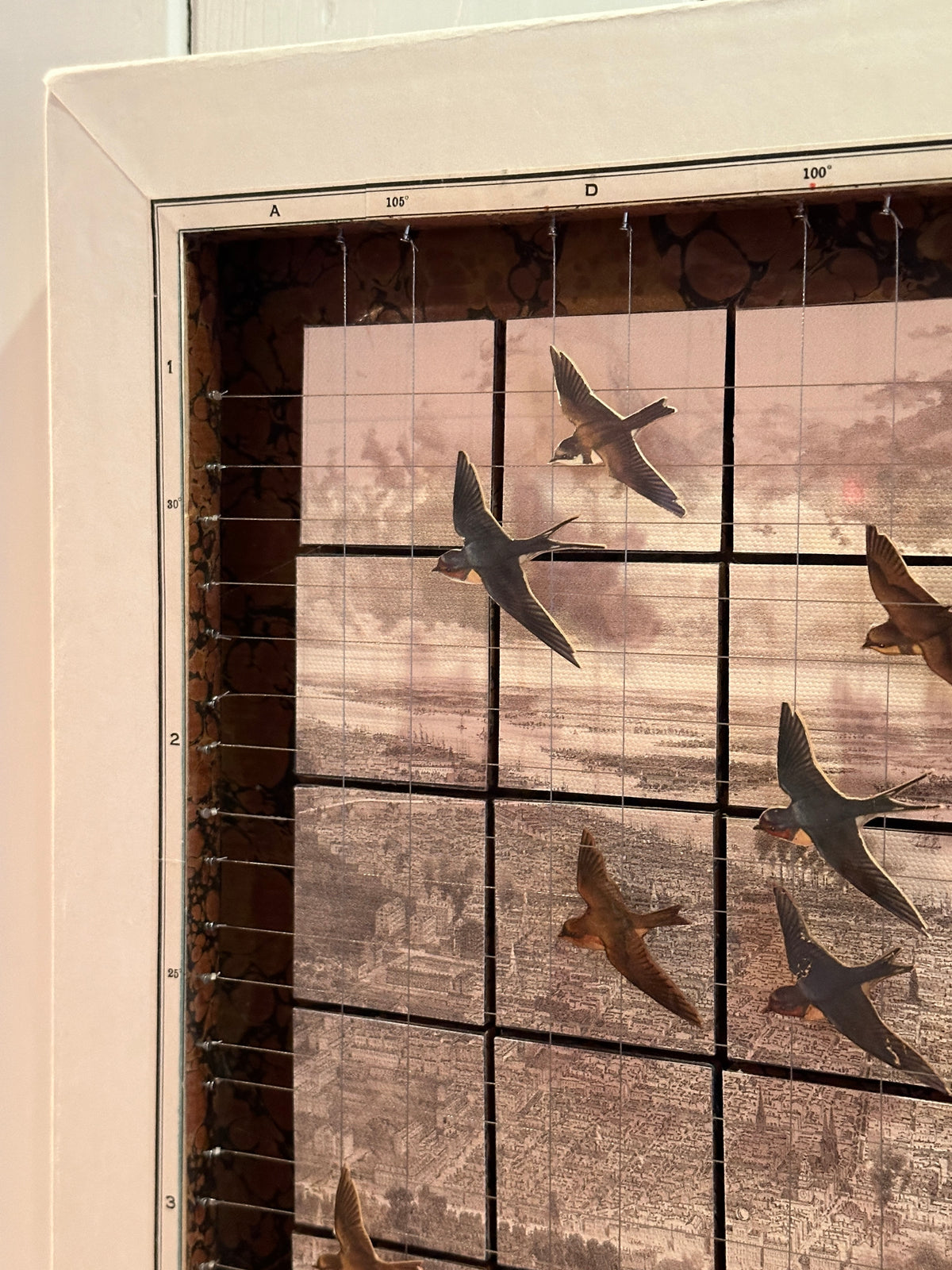 SWALLOWS OVER PHILADELPHIA