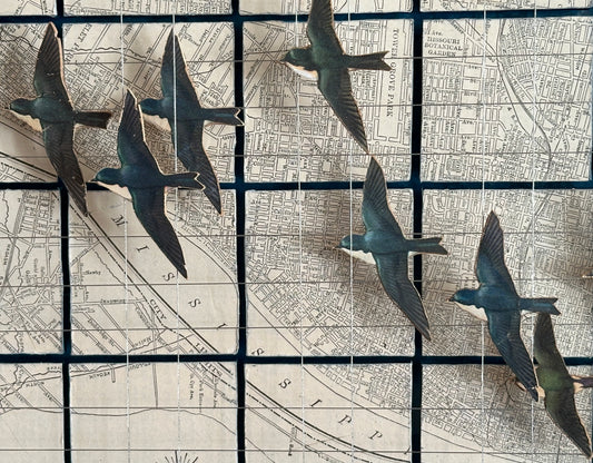 SWALLOWS OVER THE MISSISSIPPI RIVER - Sold