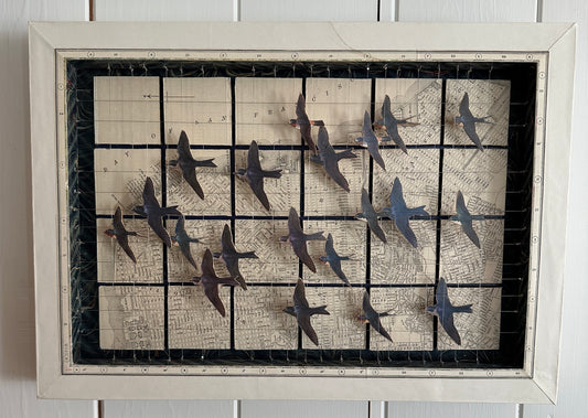 SWALLOWS OVER THE SAN FRANCISCO BAY