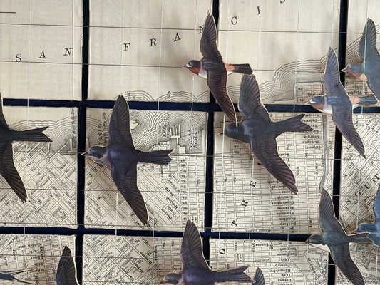 SWALLOWS OVER THE SAN FRANCISCO BAY