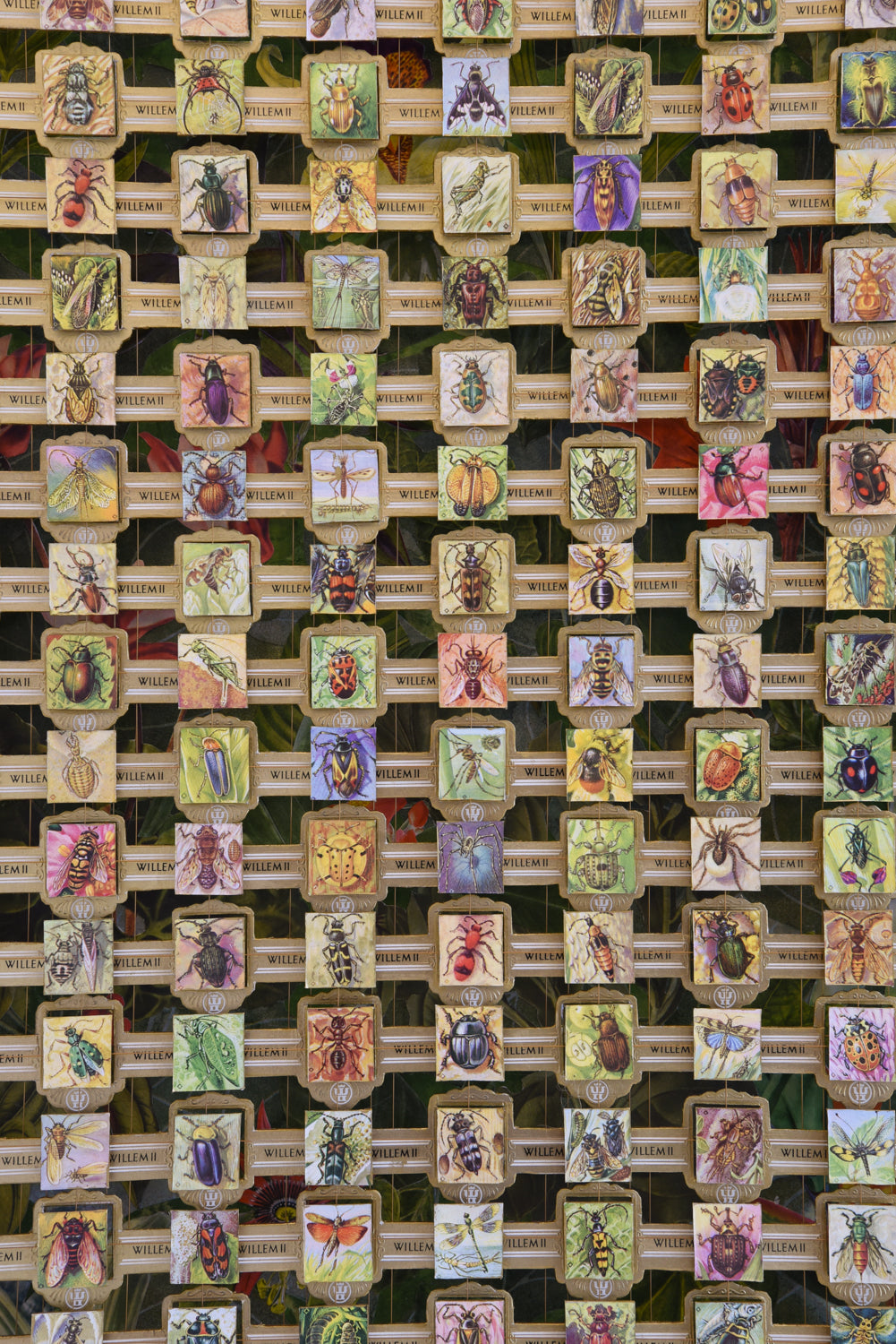 LARGE WILLEM BUG/INSECT CIGAR BAND COLLECTION