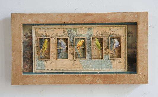 WORLDLY BIRDS No. 1