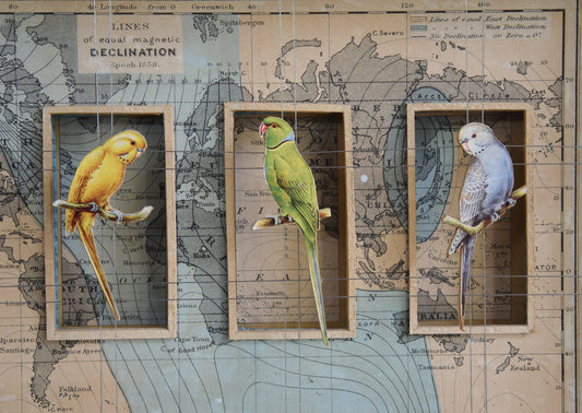 WORLDLY BIRDS No. 1