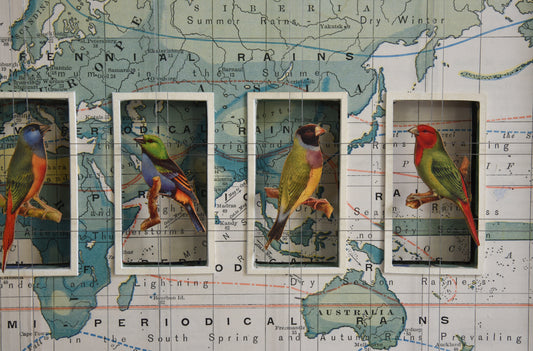 WORLDLY BIRDS No. 3