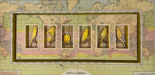 WORLDLY CANARIES