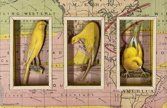 WORLDLY CANARIES
