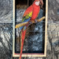 WORLDLY CAGE BIRDS No. 3