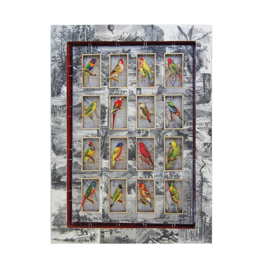 WORLDLY CAGE BIRDS No. 2