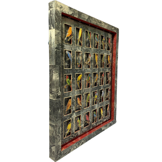 WORLDLY CAGE BIRDS No. 3