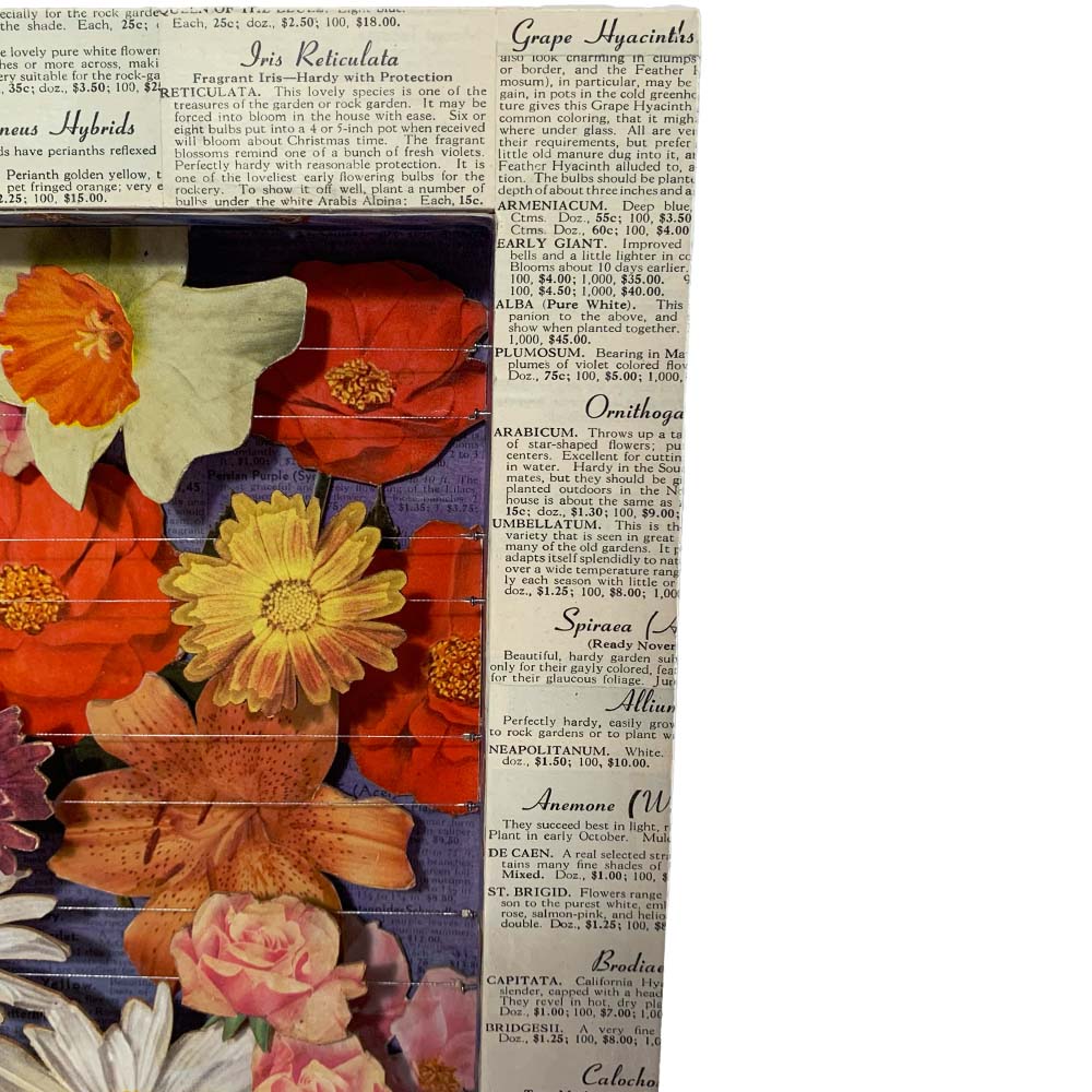FLOWER BOX No. 1