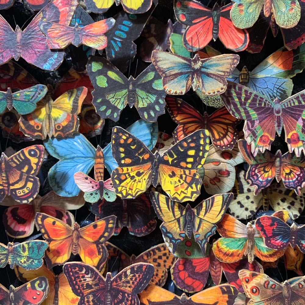 WEBSTER'S BUTTERFLY ALTERED BOOK - Sold